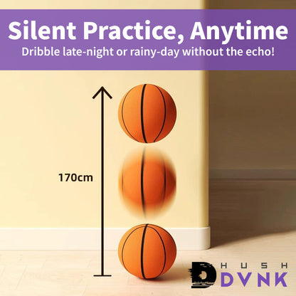 Hush Dvnk Basketball 6.0